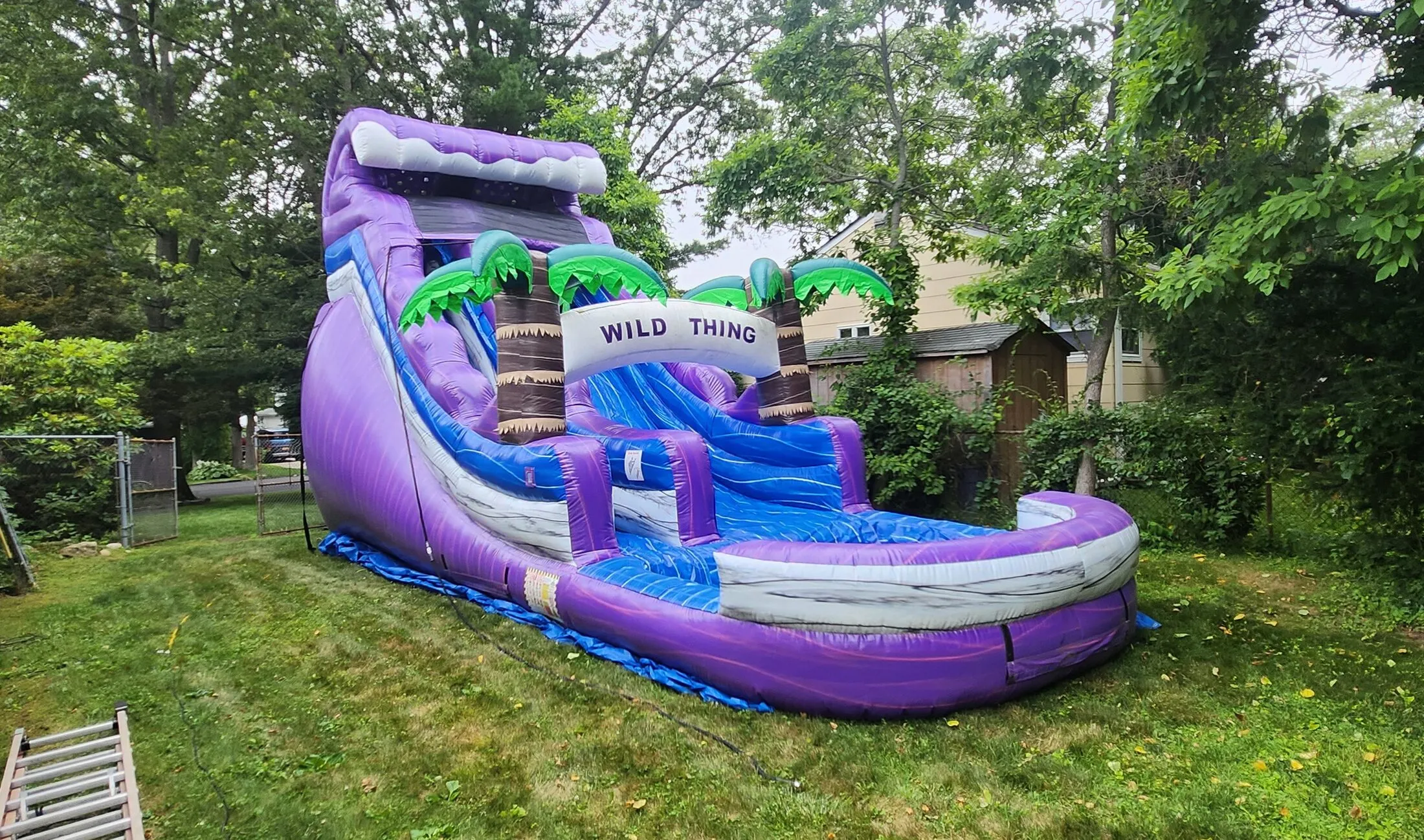 Wild Thing water slide with splash pool — Tent Pro inflatable gallery