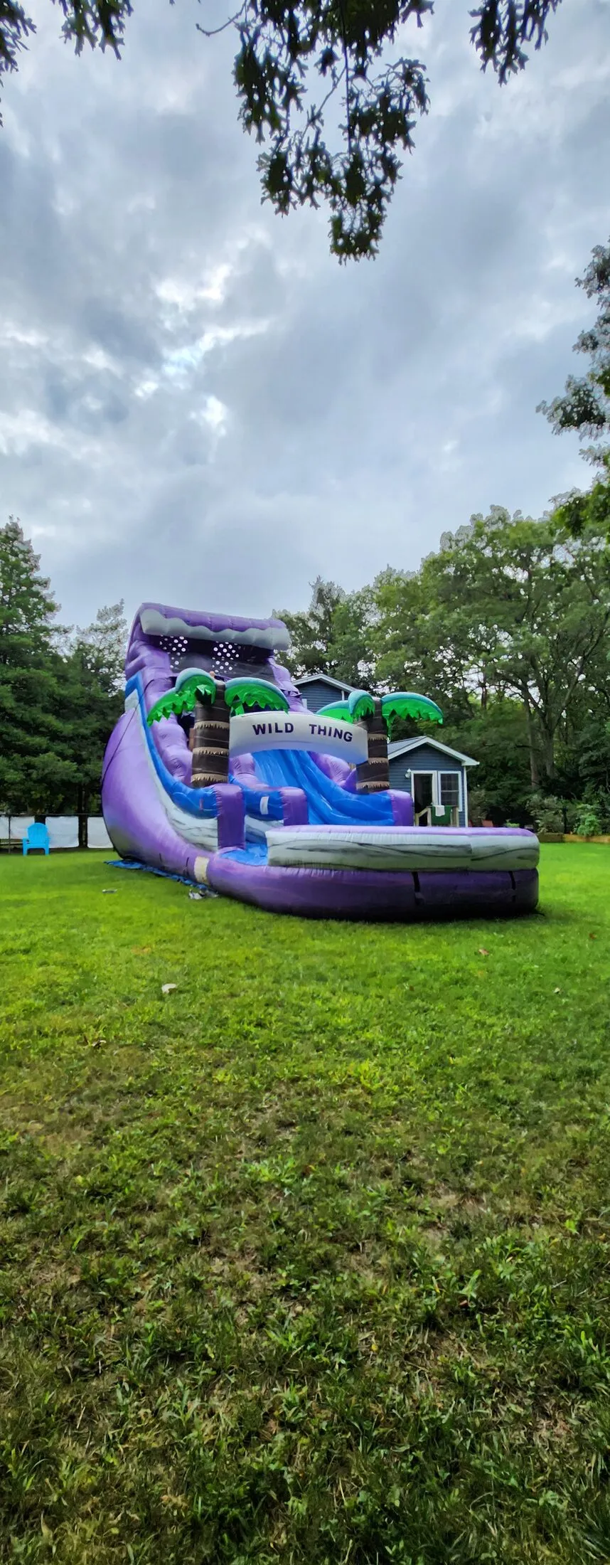 Wild Thing inflatable water slide with splash pool rental Long Island NY