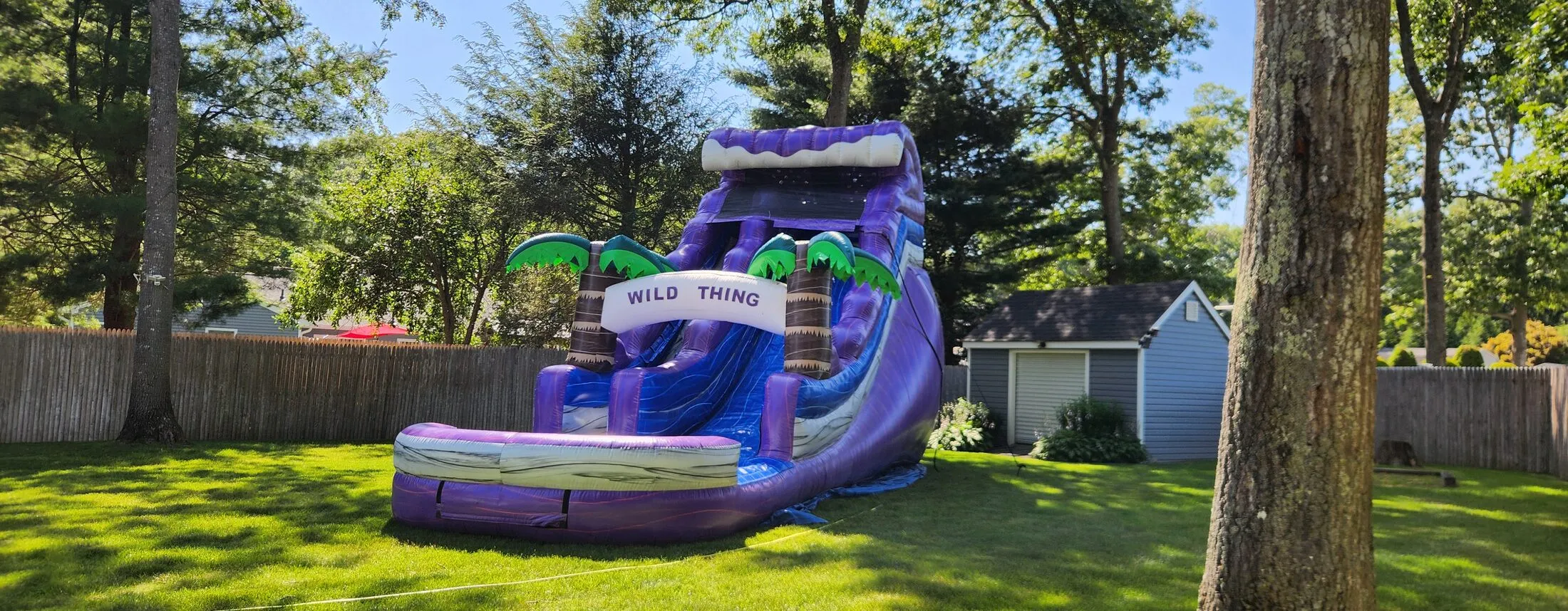 Wild Thing inflatable water slide with splash pool rental Long Island NY
