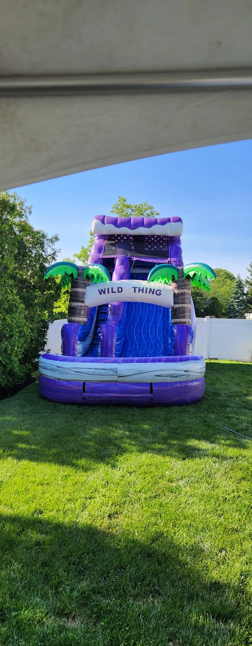 Wild Thing inflatable water slide with splash pool rental Long Island NY