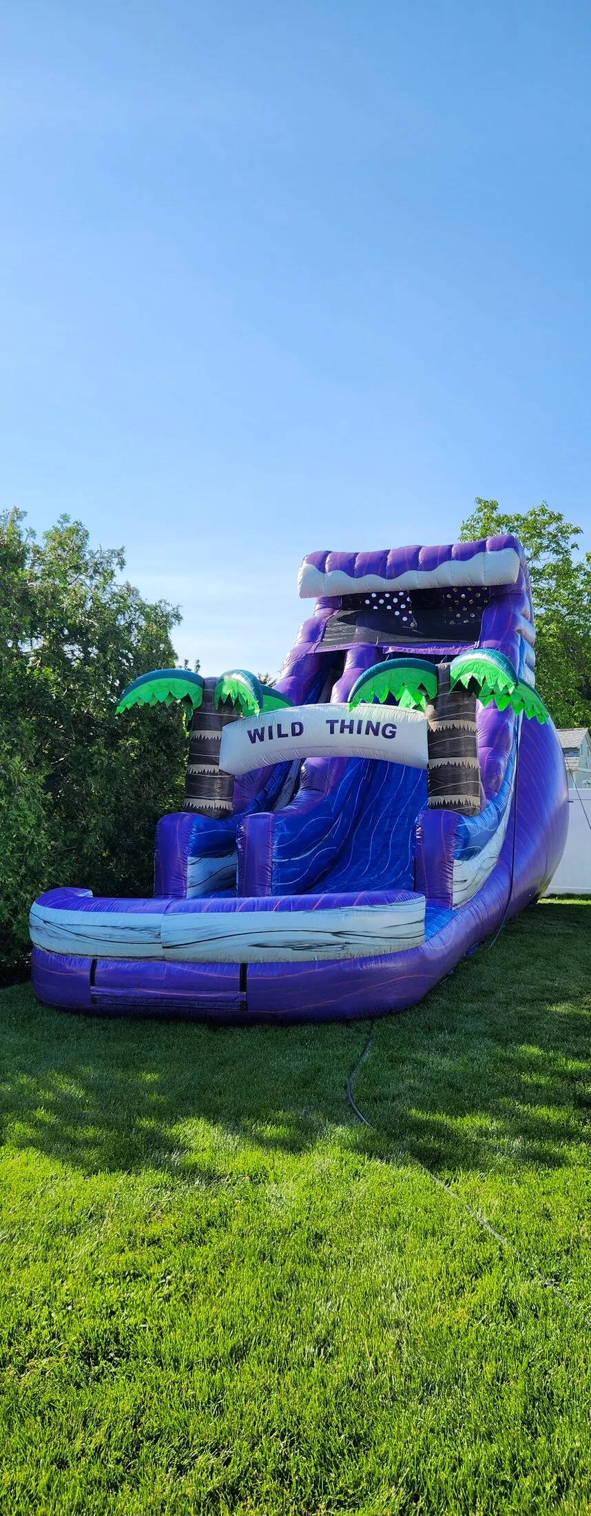 Wild Thing inflatable water slide with splash pool rental Long Island NY